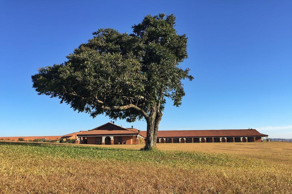 Tenonde Park Hotel São Miguel das Missões Exteriör bild