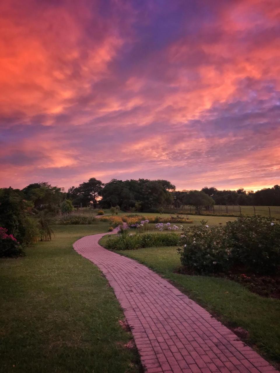 Tenonde Park Hotel São Miguel das Missões Exteriör bild